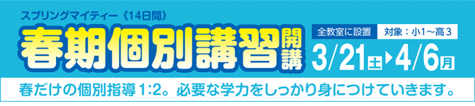 春期個別講習